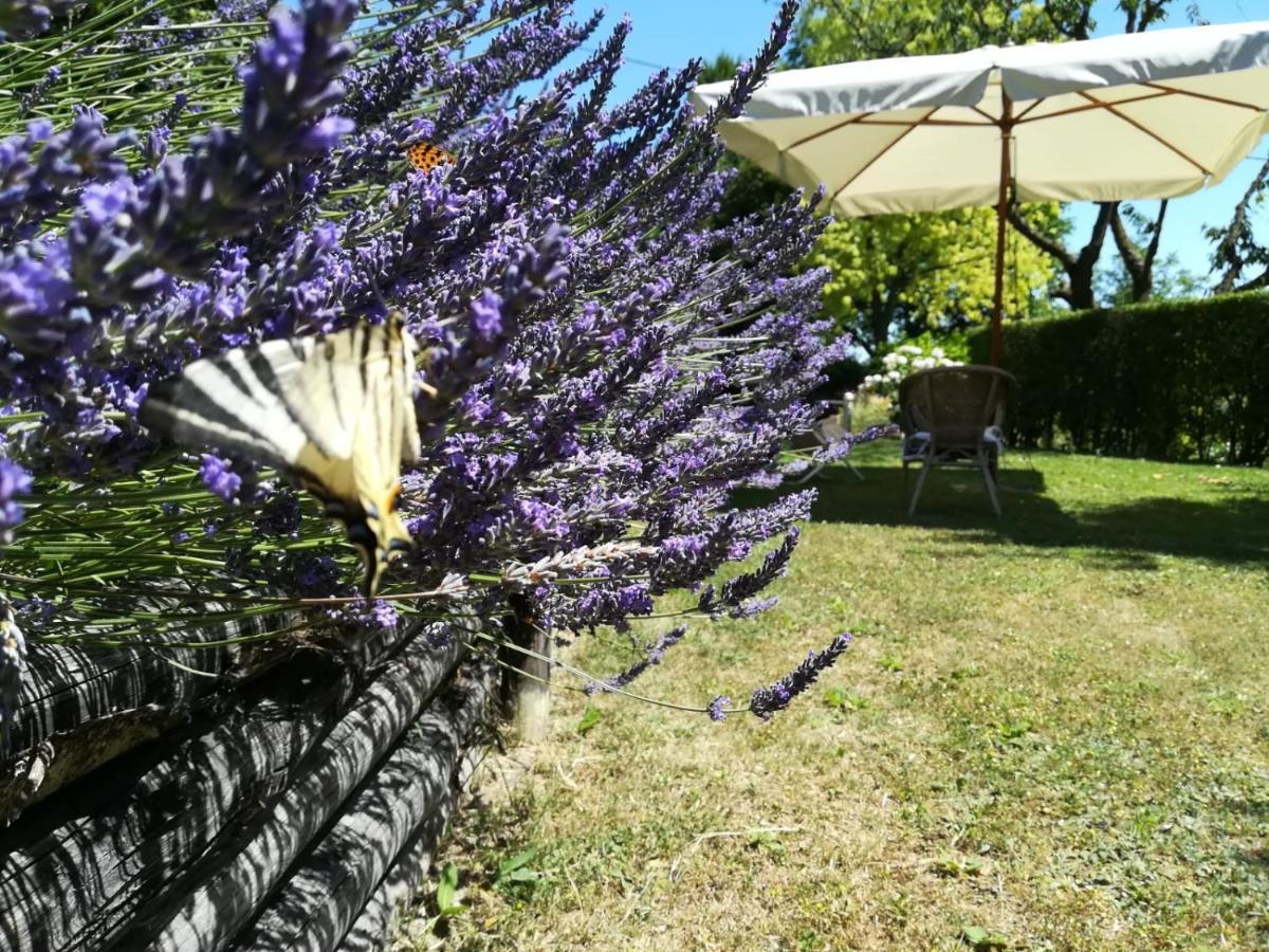 Sotto La Luna Bruna B&B Cocconato Exterior photo